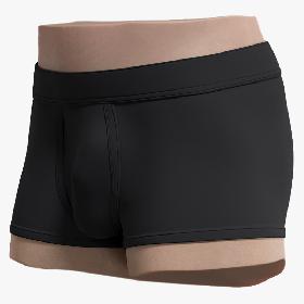 Male Genitals 3D model